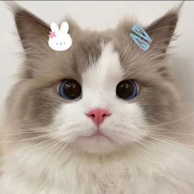 จันทร์เพ็ญ สวยเลิศ avatar